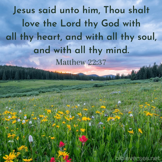 Matthew 22:37 - Bibleverses.net