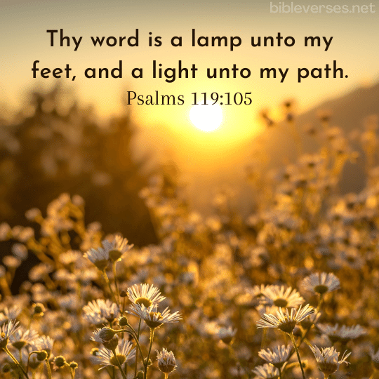 Psalms 119:105 - Bibleverses.net