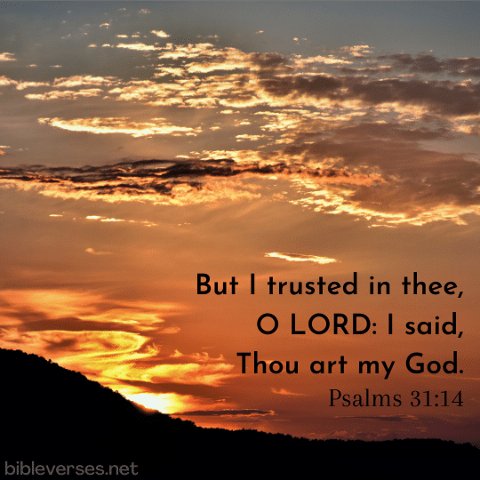 Psalms 31:14 - Bibleverses.net